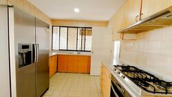 The Cairnhill (D9), Condominium #444278171